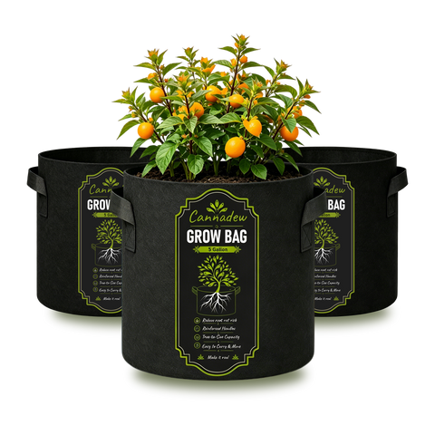 Plant Grow Bags